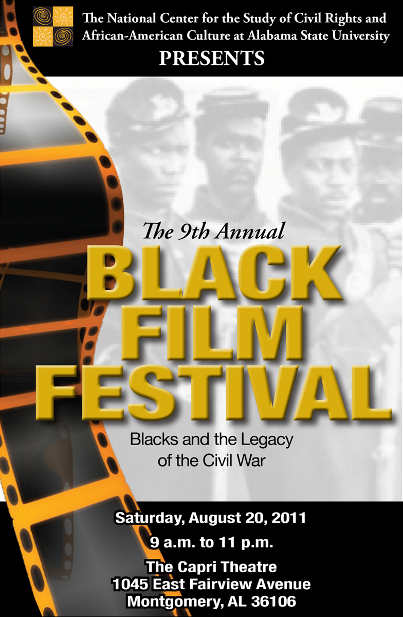 Preview image for Blacks and the Legacy of the Civil War